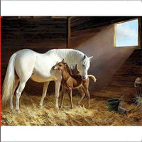 Animal Paint By Numbers