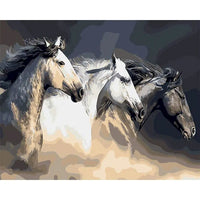 Animal Paint By Numbers