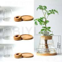 Glass Hydroponic Plant Vase