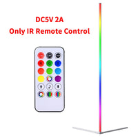 RGB Corner Floor Lamp