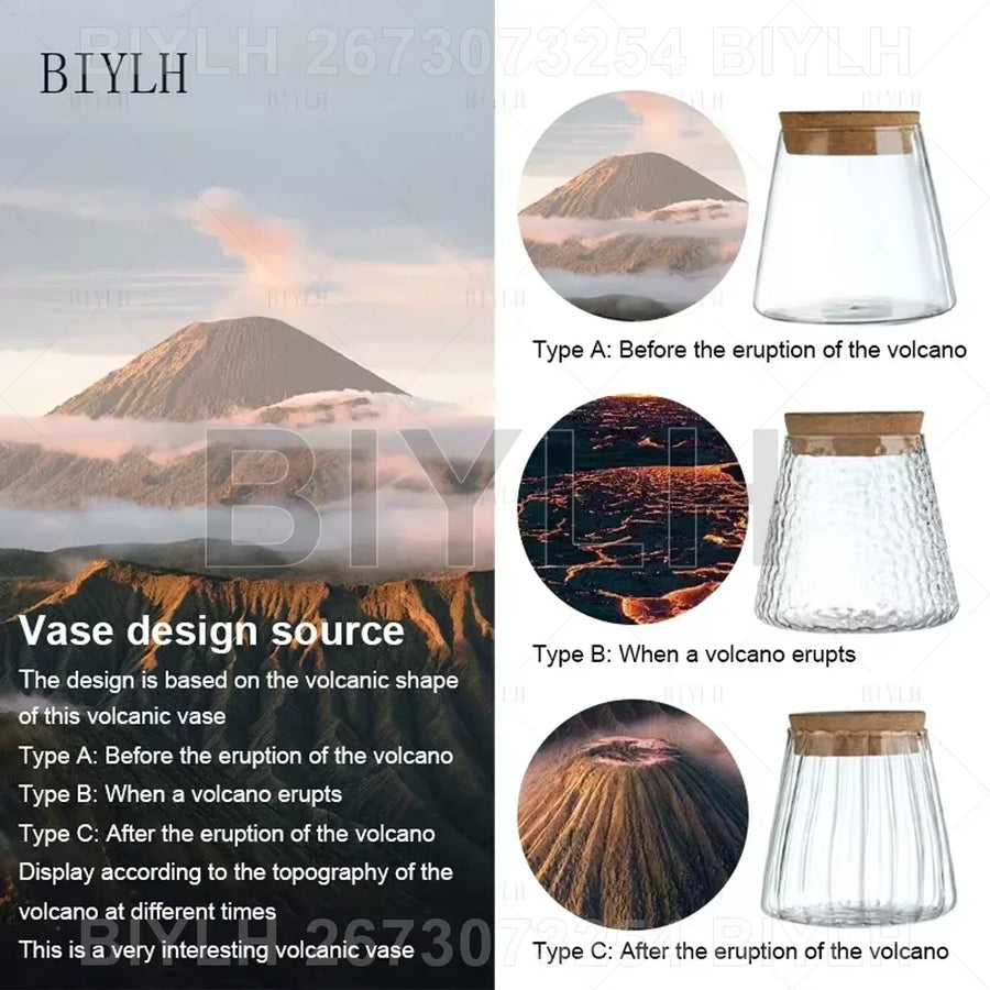 Glass Hydroponic Plant Vase