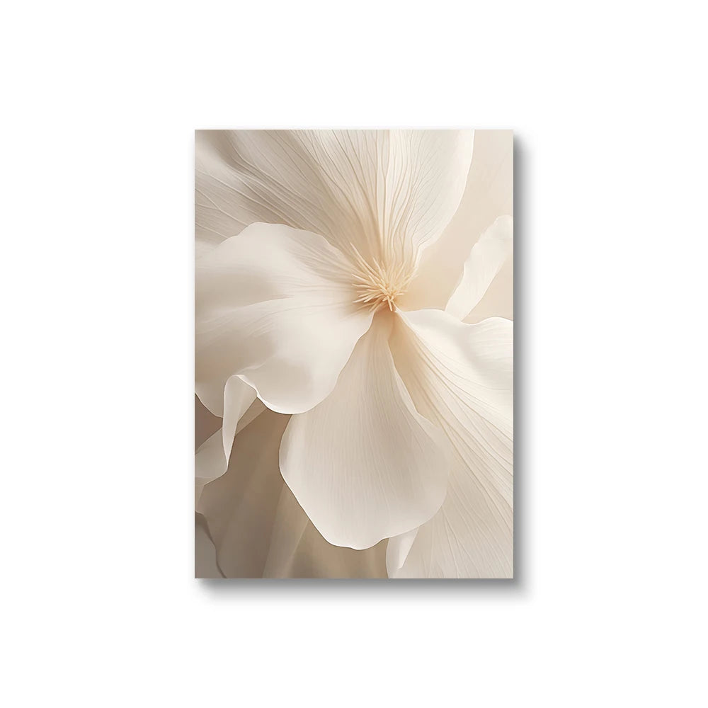Beige Peony Canvas Set