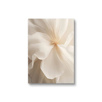 Beige Peony Canvas Set