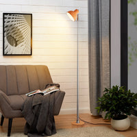Telescopic USB Floor Lamp