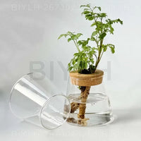 Glass Hydroponic Plant Vase