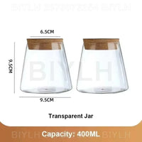 Glass Hydroponic Plant Vase