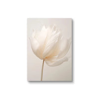Beige Peony Canvas Set