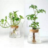 Glass Hydroponic Plant Vase