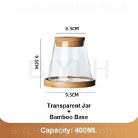 Glass Hydroponic Plant Vase